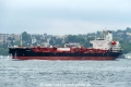 Windsor (OK-150823-1).jpg