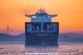 MSC Savona SH-180126-01.jpg