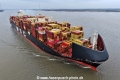 MSC Oliver KH-021225-3.jpg