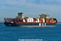 MSC Sary (MB-151026-8).jpg
