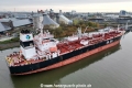 Yasa Swan (KB-D221123-03.jpg