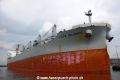Luisia Colossus OS-020614-09.jpg