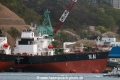 Yasa Albatross (MS-070419-02).jpg