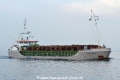 Scot Carrier HK-111014-1.jpg