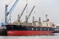 Manta Hacer (KB-D160423-01).jpg