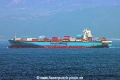Rhine Maersk TL-080626-3.jpg
