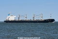 Royal Pearl JG-030826-1.jpg
