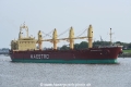 Maestro Lion OS-290818-10.jpg