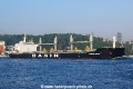 Mandarin Ocean (OK-140814-1).jpg