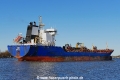Rosy (OK-120221-1).jpg