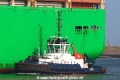 VB Rob TL-300325-1.jpg