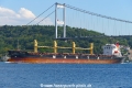 Manta Melek (OK-160924-1).jpg