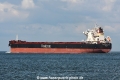 Rostrum Sceptic JG-160726-3.jpg