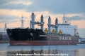 Mandarin Dalian OS-301112-05.jpg