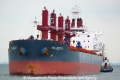 Majesty (OK-200313-00).jpg