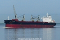 Madison Eagle (KK-180720-2).jpg