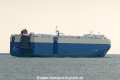 Dignity Ace (KK-300516-3).jpg