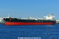 Arctic (MB-100826-3).jpg
