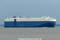 Dignity Ace (KK-300516-0).jpg