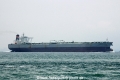 Kondor OS-110912-06.jpg