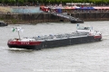 Otter TL-070709-1.jpg