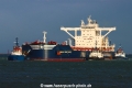 Bulk Sao Paulo TL-291121-3.jpg