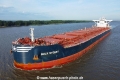 Bulk Sydney TL-040822-08.jpg