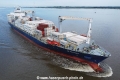 AS Petronia TL-140823-2.jpg