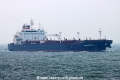 Bagheera TL-240325-1.jpg