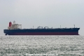 Kaimon 2 (MS-191007-03).jpg