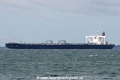 Kiho (MS-231007-01).jpg