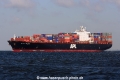 APL Iolite (MM-270608-1).jpg