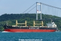 Amis Dolphin (OK-170823-2).jpg