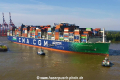 CMA CGM Trocadero KKi-300721-3.jpg