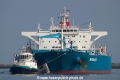 Bravo (MM-070814-1).jpg