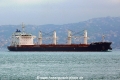 Amapola (OK-190512-1).jpg