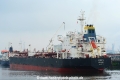 Axelotl (KB-D140616-03).jpg