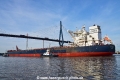 Bulk Sydney (KB-D040822-15).jpg