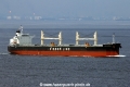 Amis Dolphin (MS-020816-06).jpg
