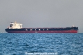 Bokm Tubarao OS-131022-07.jpg