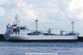 Icelandic Klipper (K-MS).jpg