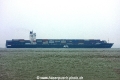 APL Melbourne (MS-211010-01).jpg