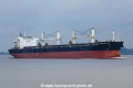 Amber Champion KH-240820-1.jpg