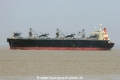 World Swan (MS-020805-1).jpg