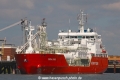 Coral Star (SW-09082015-07).jpg