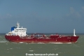 Aster Alvar JB-151021-01.jpg