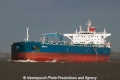 Bravo (MM-060413-1).jpg