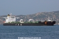 Arctic (OK-220508-0).jpg