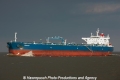 Bravo (MM-060413-2).jpg