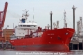 Coral Pavona (SW-29072013-02).jpg